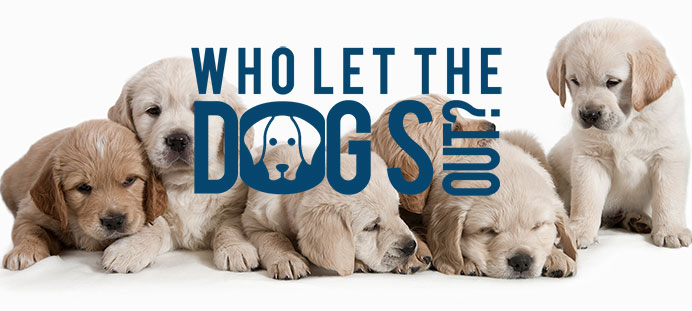 Who Let The Dogs Out? Image
